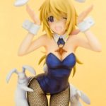 Charlotte Dunois Bunny Style [IS: Infinite Stratos] [1/7 Complete Figure] 1